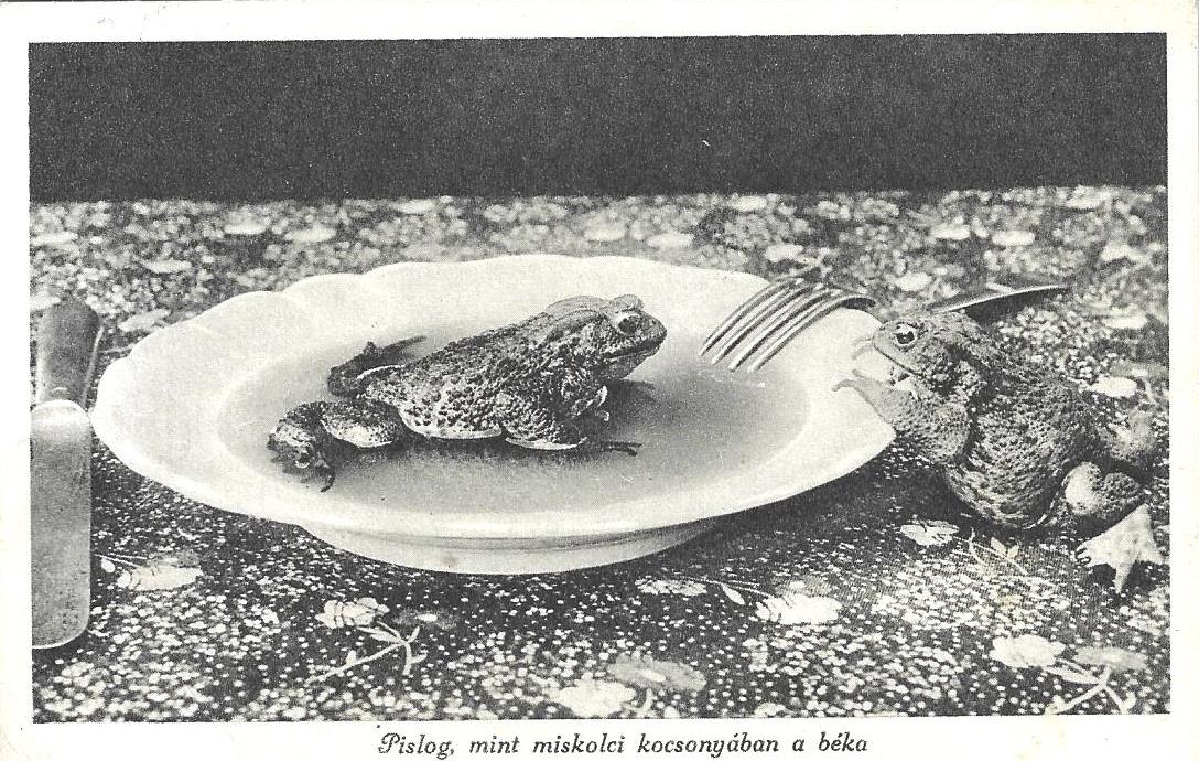 r�szletek